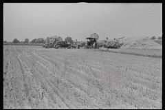 3330_ Possible end of threshing .  Field of wheat stubble , central Ohio