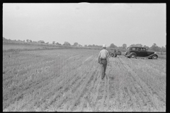 3347 Threshing crew, central Ohio