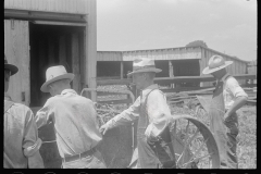 3363_Farmers at public auction in central Ohio