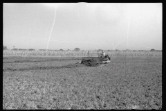 3381_ Using a power rake on the alfalfa fields of Dawson County, Nebraska.