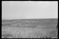 3382_ Grazing land, Dawson County, Nebraska