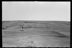 3385_ Grazing land, Dawson County, Nebraska