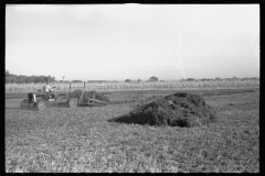 3389_Using a power rake on the alfalfa fields of Dawson County, Nebraska.