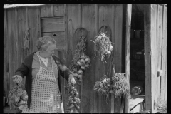 3392_Onion strings  rehabilitation client, Otoe County, Nebraska