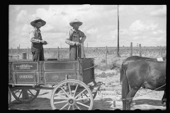 3426_ Mr. Foster's mule team and ' Ideal' wagon, Irwinville Farms, Georgia