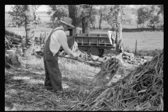 3451_Farmer working at sorghum mill, Lancaster County, Nebraska