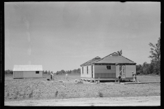 3523_ Fieldhouse erection, Southeast Missouri Farms Project.