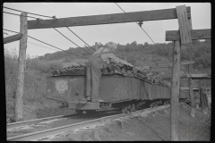 3549_ Miner's son possibly stealing coal Chaplin, West Virginia