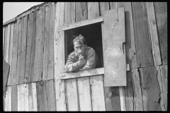 3593_Coal miner at his  window Bertha Hill, Scotts Run, West Virginia