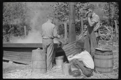 3631_Making molasses . Racine, West Virginia.