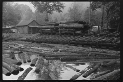 3660_Logs for sawmill, Erwin, West Virginia