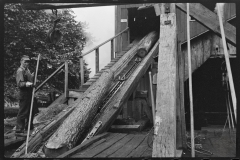 3663_Guiding logs  into Saw Mill,  Erwin, West Virginia