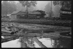 3664_Logs for sawmill, Erwin, West Virginia