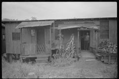 3733_  Shanties by the river. Scotts Run, West Virginia