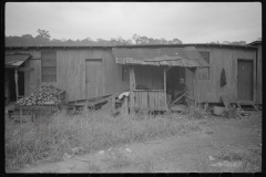 3736_ Shanties by the river. Scotts Run, West Virginia