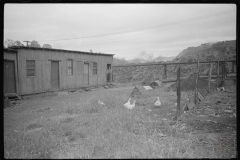 3744_ Shanties by the river. Scotts Run, West Virginia