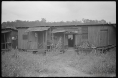 3747_Shanties by the river. Scotts Run, West Virginia