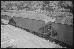 3757_  Coal wagons , mining camp , Scott's run , West Virginia