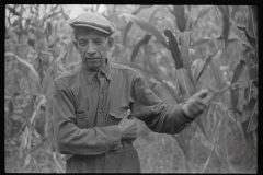 3768_Mexican coal miner, Bertha Hill, Scotts Run, West Virginia