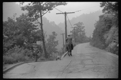 3821_Old miner riding  a mule,   Mohegan, West Virginia