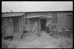 3874_Company Shacks ,  Scotts Run, West Virginia