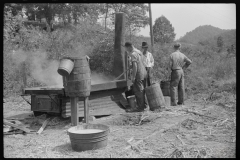 3892_Boiling  sugarcane into sorghum molasses. Racine, West Virginia