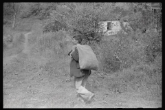 3902_Mexican miner , Berta Hill , West Virginia.