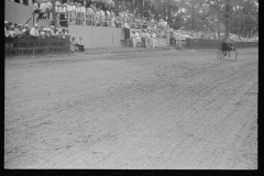 3919_ Grandstand , trotting races ,  county fair in central Ohio