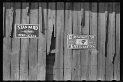 3940_Advertising signs on broken fence , Enfield , North Carolina