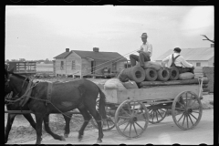 3972_Farmer with cotton seed, fence posts and wire for Roanoke Farms, North Carolina