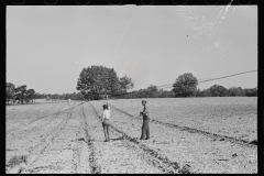 3978_Surveying , Roanoke farms, Enfield, North Carolina .