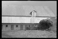 4100_Old barn near Sharpsburg