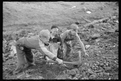 4121_Miner's sons salvaging coal during  strike