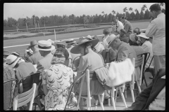 4161_Horse racing , Hialeah Park, Miami