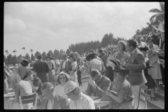 4162_Horse racing , Hialeah Park, Miami