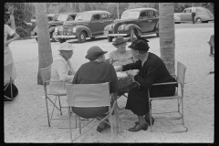 4173_Outdoor refreshments for tourists near Tampa,