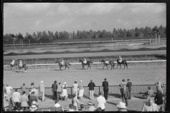 4176_Horse racing at Hialeah Park, Miami