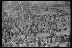 4179_Horse racing at Hialeah Park, Miami, Florida