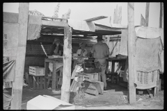 4190_ Strawberry Pickers near Lakeland