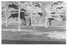 0041_Tupleno Homesteads, Mississippi