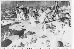 0358_ Bridge building, Prince George's County, Maryland