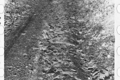 0394_Rough ungraded road, Garrett County, Maryland