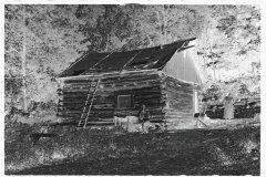 0398_Typical cabin and state of repair , Garrett County, Maryland