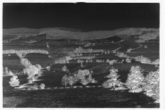 0400_Good farming land, Garrett County, Maryland.