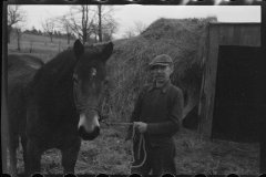 1195_Probable subsistence farmer and mule . Location unknown