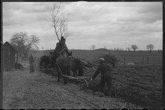 1221_Traditional ploughing with a pair of horses, location unknown