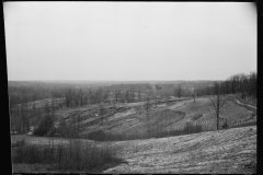 01574_farming land with adjacent major soil erosion , possibly Tennessee