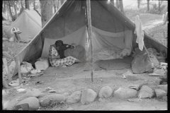 2958_Interior of migrant  Blueberry pickers' tent, near Little Fork, Minnesota