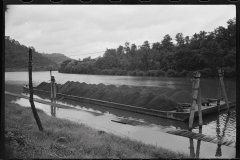 3738_ Coal barge on Monongahela  River, Scotts Run, West Virginia
