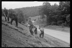 4138_Civilian Conservation Corps  working at Tygart Valley Homesteads, WV